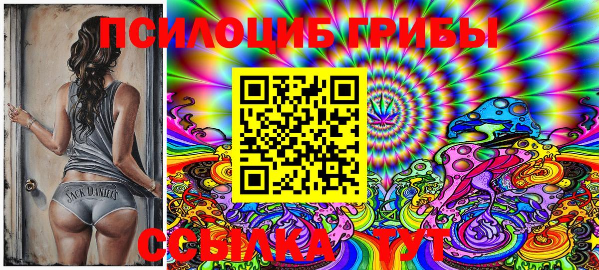 Глазов  Галлюциногенные грибы Psilocybe  Вход с VPN 